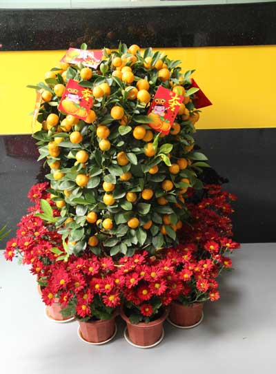 點擊瀏覽下一頁